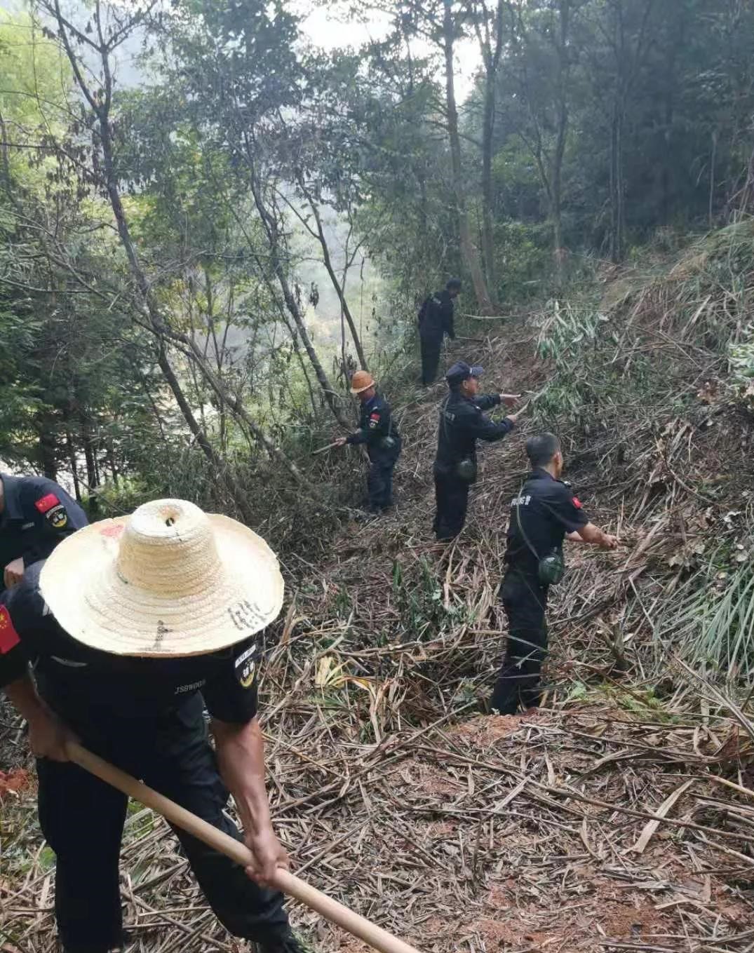 干好每一天|青山掛白我復(fù)綠，無私奉獻(xiàn)金森人——資源保護(hù)部義務(wù)突擊隊(duì)工作記實(shí)