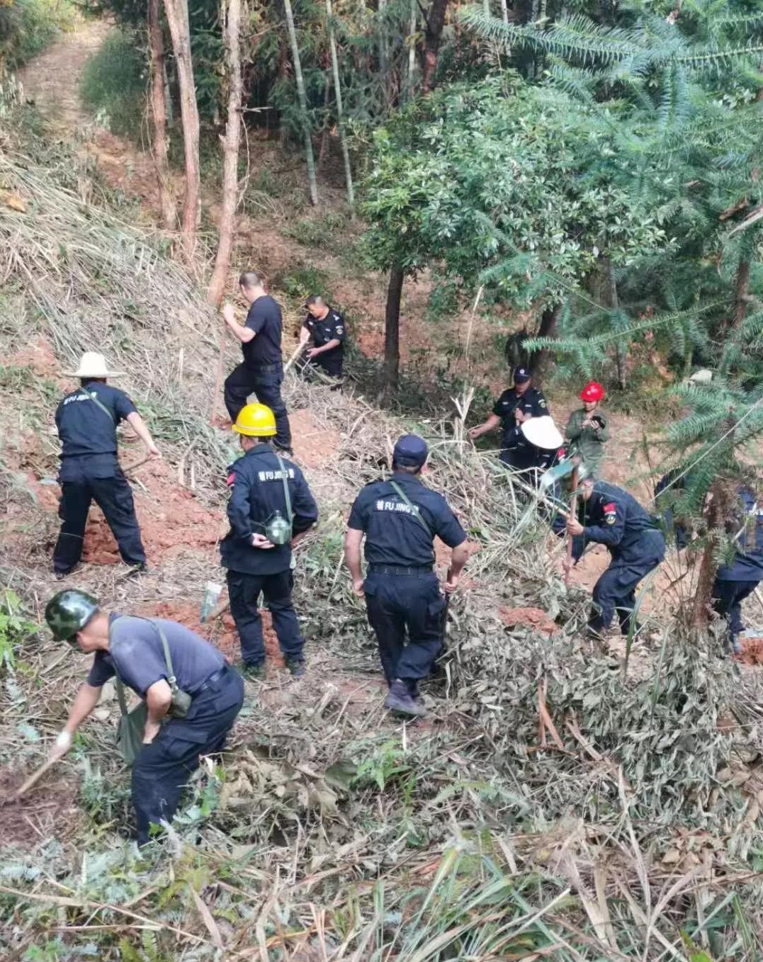干好每一天|青山掛白我復(fù)綠，無私奉獻(xiàn)金森人——資源保護(hù)部義務(wù)突擊隊(duì)工作記實(shí)