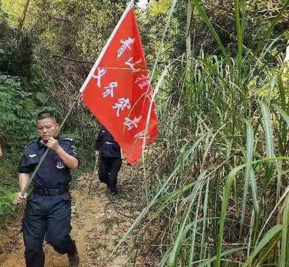 干好每一天|青山掛白我復(fù)綠，無私奉獻(xiàn)金森人——資源保護(hù)部義務(wù)突擊隊(duì)工作記實(shí)