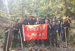 干好每一天|青山掛白我復(fù)綠，無(wú)私奉獻(xiàn)金森人——資源保護(hù)部義務(wù)突擊隊(duì)工作記實(shí)